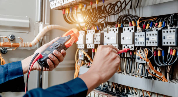 Best Electric Panel Repair  in Lisbon, IA